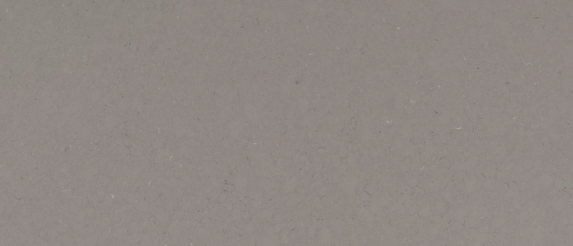 Fossil Grey